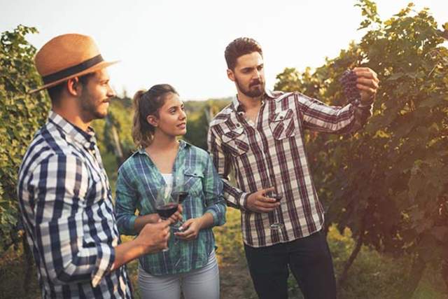 foodie tours