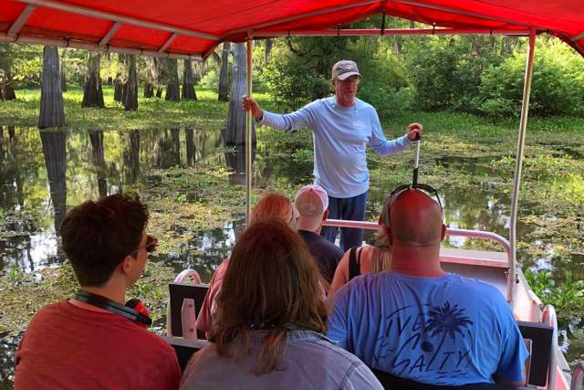 swamp tour
