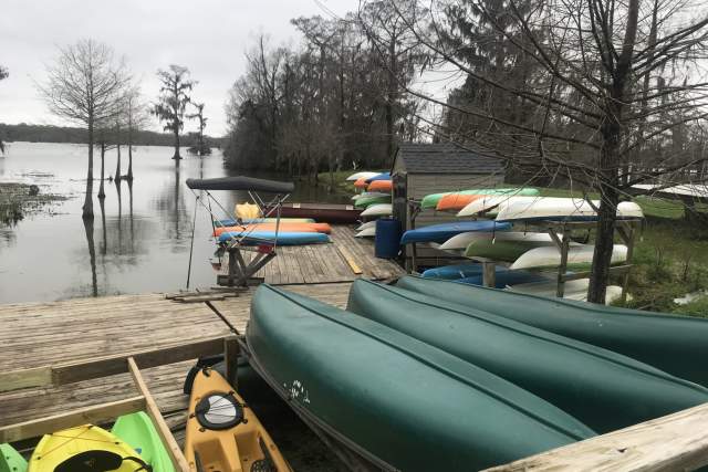 Kayak Rentals