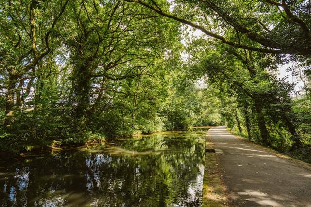 Swansea Canal