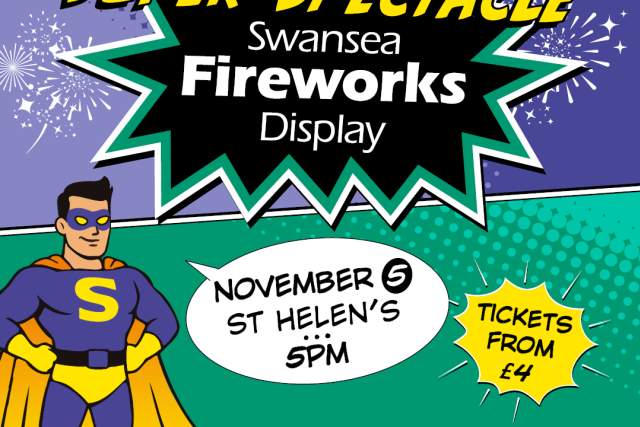 Fireworks Display 5 Nov 2025