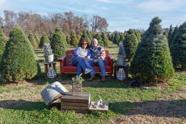 Christmas tree shopping