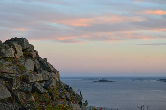 solnedgang over Odderøya