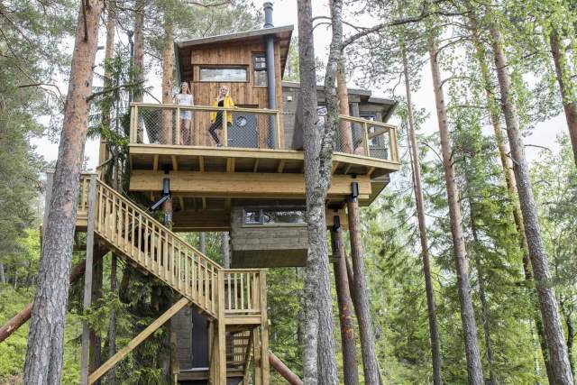 Trehyttene i Gjerstad