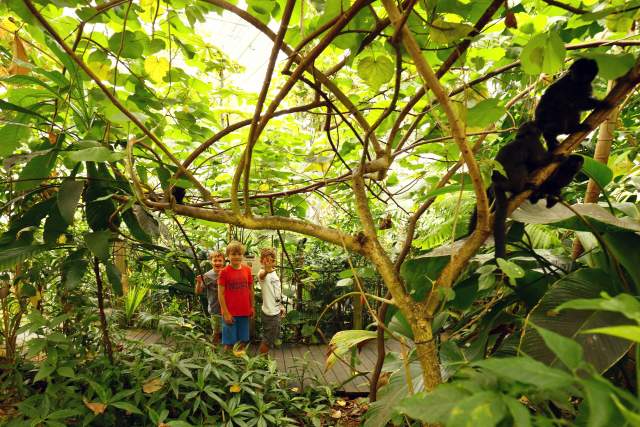 Children in the rain forest at Den lille Dyrehage