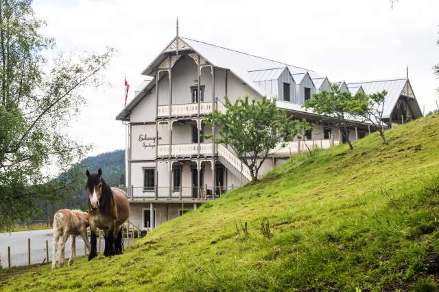 Hest og føll foran gårdshotellet - Eikerapen Gjestegard, Åseral