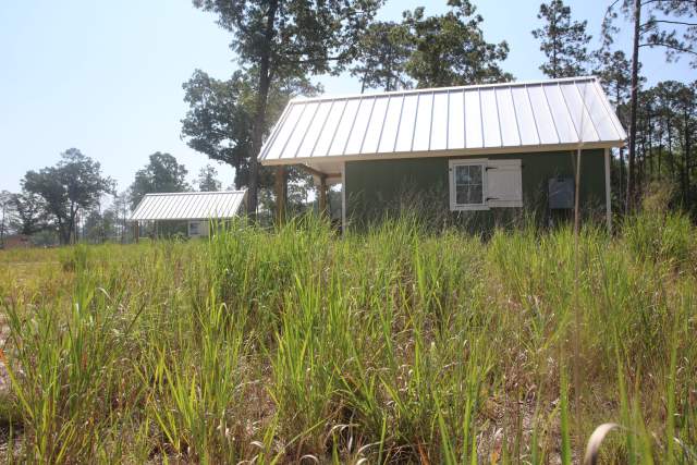 Cabin
