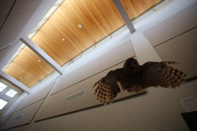 Goose Creek Educations Center