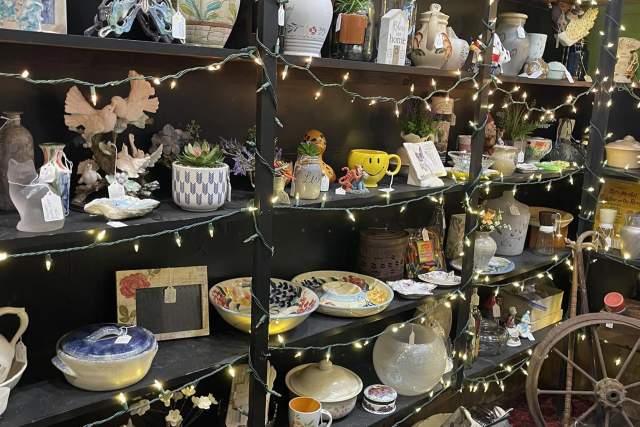 Busy Chicks Bargain House & Auctions