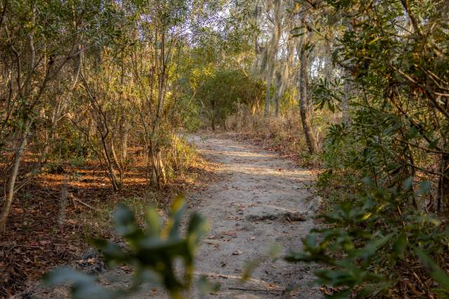 Goose Creek State Park