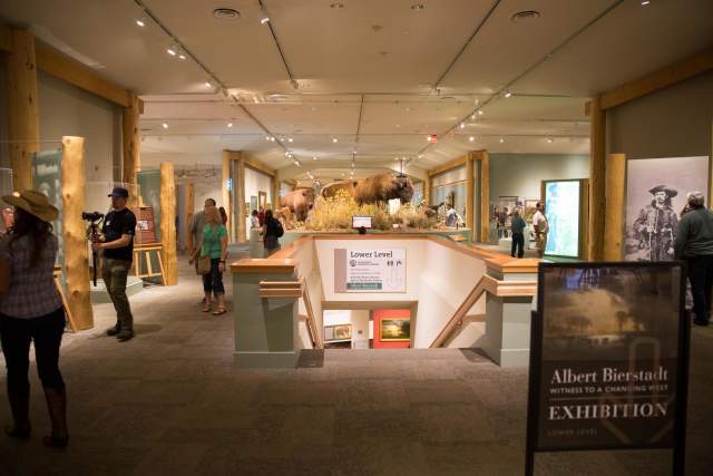 Visitors explore exhibits at the Buffalo Bill Center of the West in Cody, Wyoming, with taxidermy bison and western history displays.