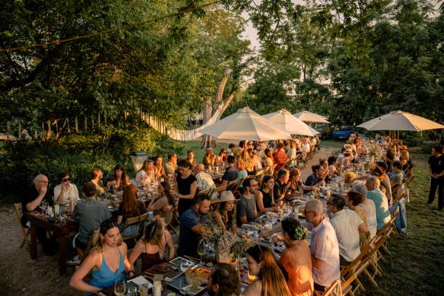 Field Guide Festival