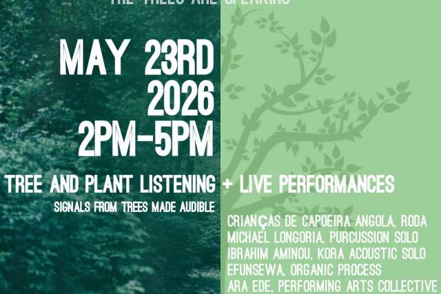 IGI NI SÒRÒ: The Trees Are Speaking
