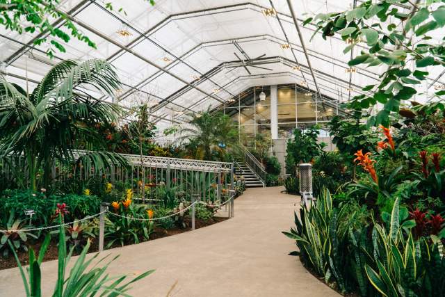Butterfly Biosphere