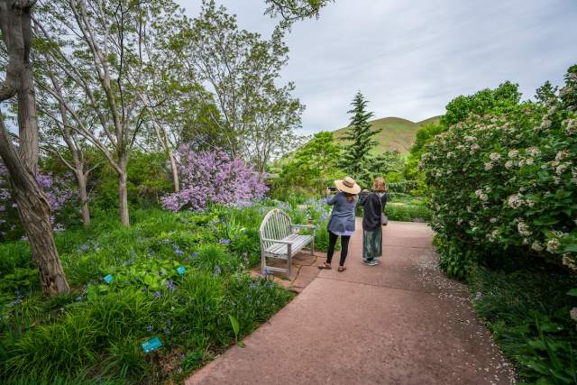 Red Butte Garden and Arboretum - Utah's Botanical Garden