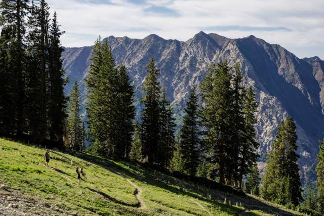 Guided Hikes at Snowbird