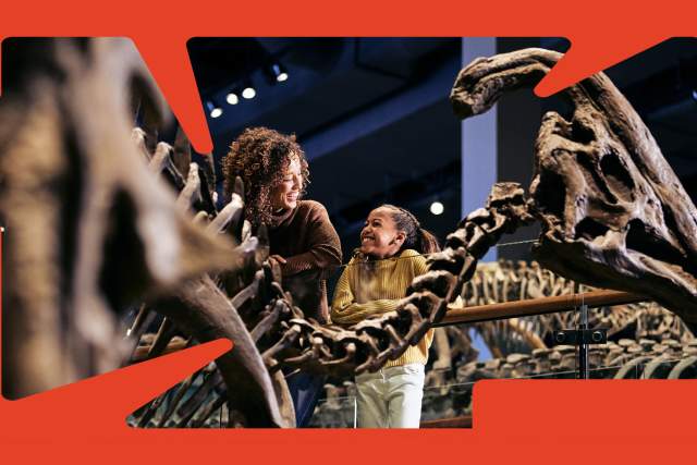 Salt Lake Explorer Pass