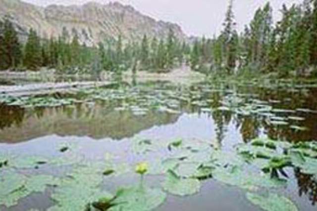 Mirror Lake