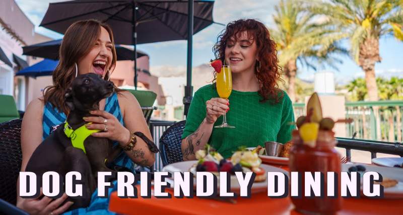Dining with Your Dog: Pet-Friendly Spots