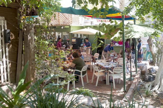 Garden Cafe with green tree leaves