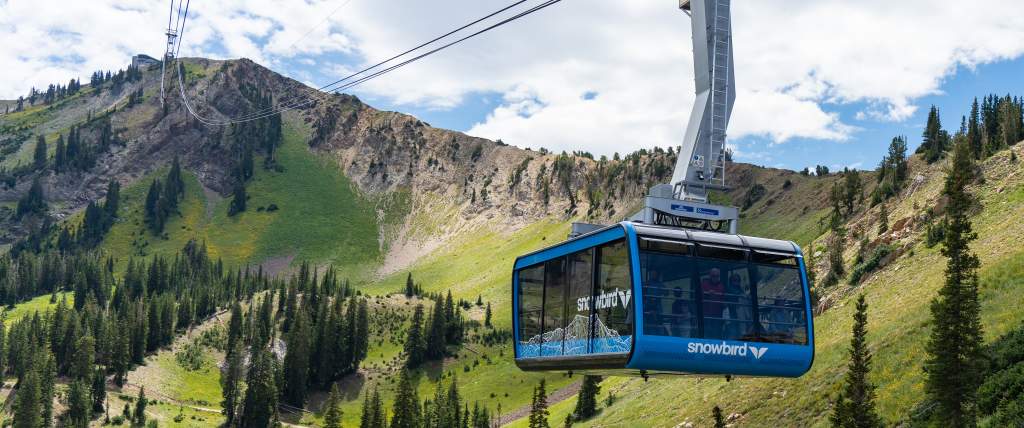 Explore new heights on the Snowbird Aerial Tram