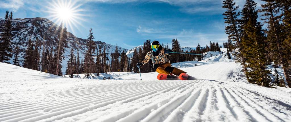 Snowbird 2024-2025