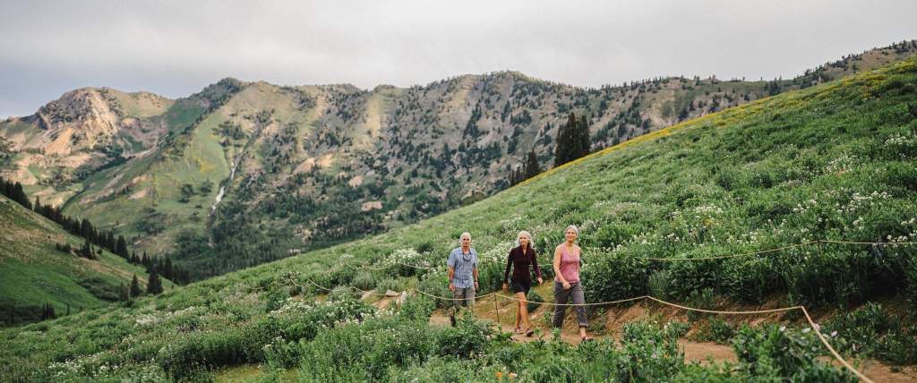 3 people hiking on a path through the wildflowers with mountains in the background