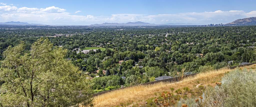 Wide shot of the Valley
