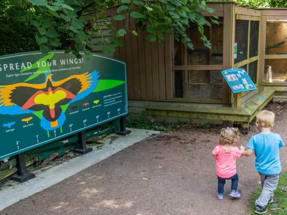 A Photographer Family's Guide to Ann Arbor