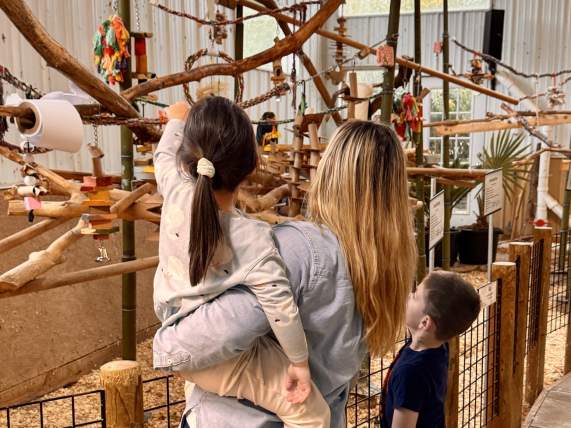 Is Ann Arbor Autism-Friendly? What One Family Loved and Where They Went