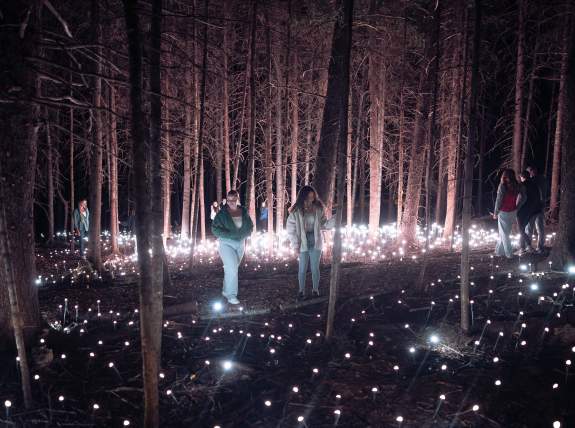 Akadi Lumina Moment Factory Parle Ouere