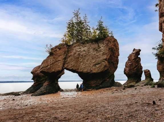 Hopewell Rocks Provincial Park