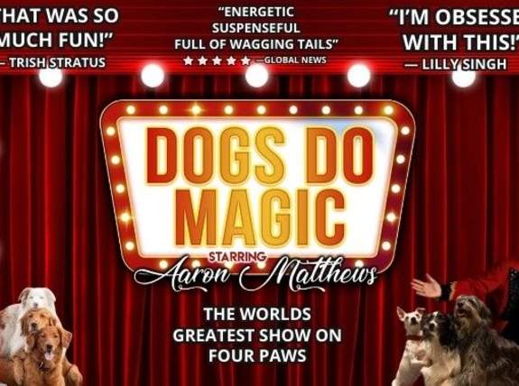 Canine Circus Presents: Dogs Do Magic