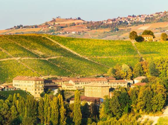 Wine Tasting | Wines from the North of Italy: Piedmont Region