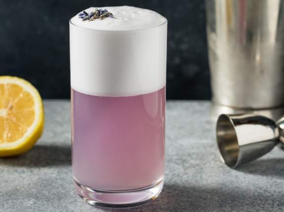 Mixology Class | Gin Fizz Festival