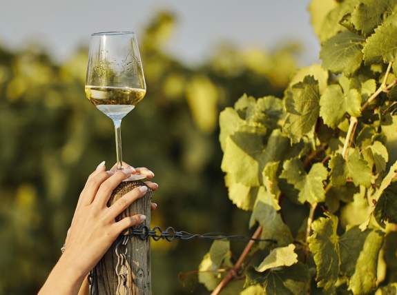 Wine Tasting | Refreshing Whites