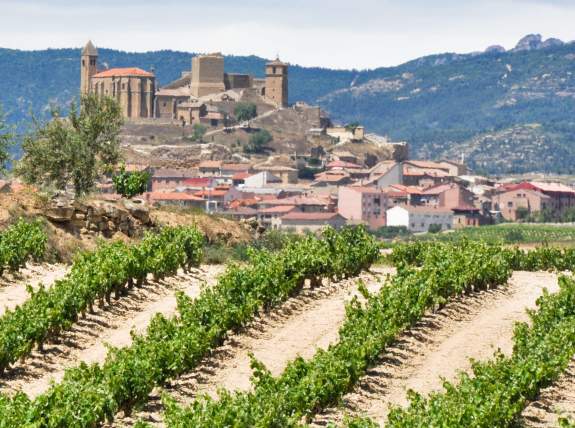 Discover the Wines from Spain