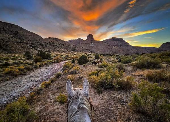 Riding a Horse during Sunset in Little Book Cliffs Wild Horse Range