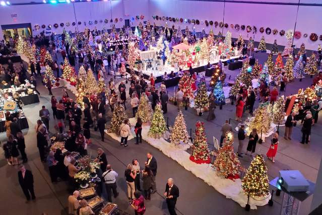 Akron Children's Holiday Tree Festival