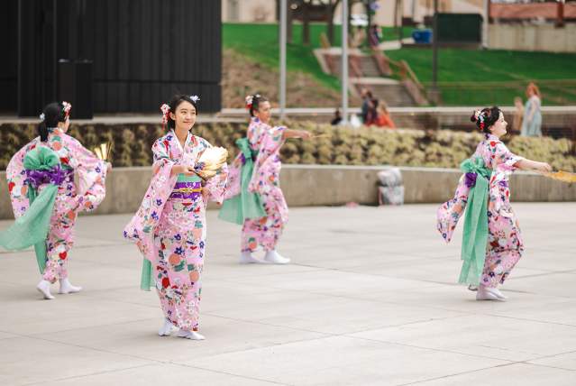 2026 Downtown Akron Sakura Festival