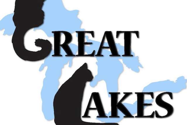 Akron Cat Show