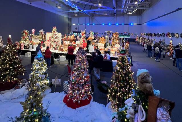 Akron Children's Hospital Tree Festival