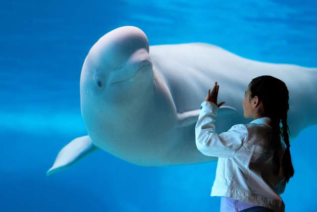 2026 WaT Sweepstakes Assets