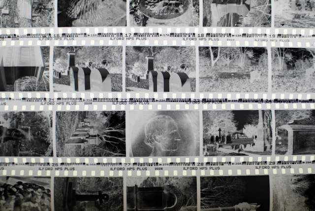 Intro to Darkroom Photography