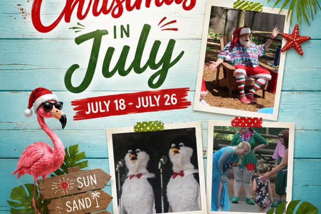 Christmas in July