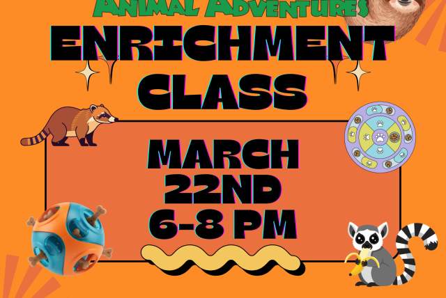 Exotic Enrichment Class