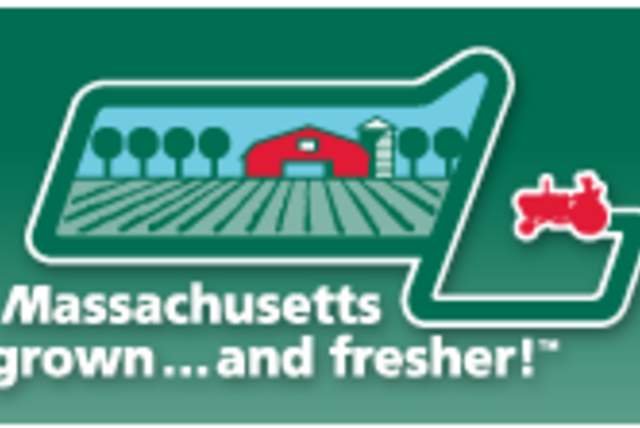 Farmers Market at Maple Hill