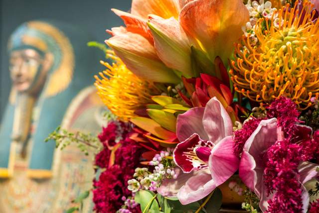 Flora in Winter 2026