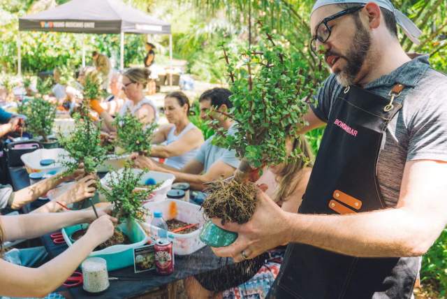 Bonsai Workshop at Flying Dreams Brewing Co.
