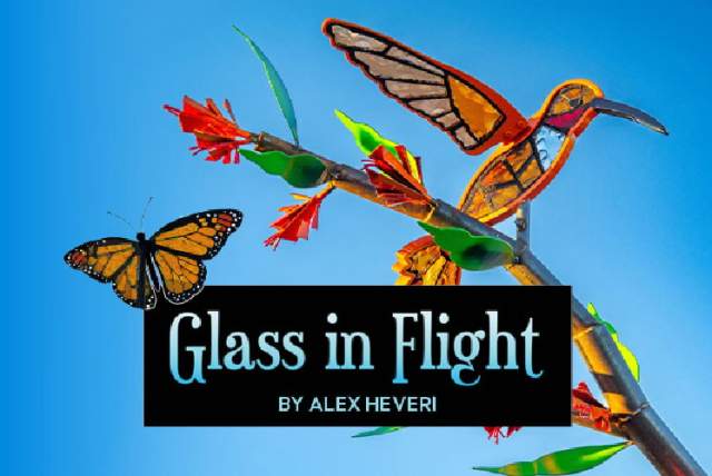 Glass In Flight at New England Botanic Garden